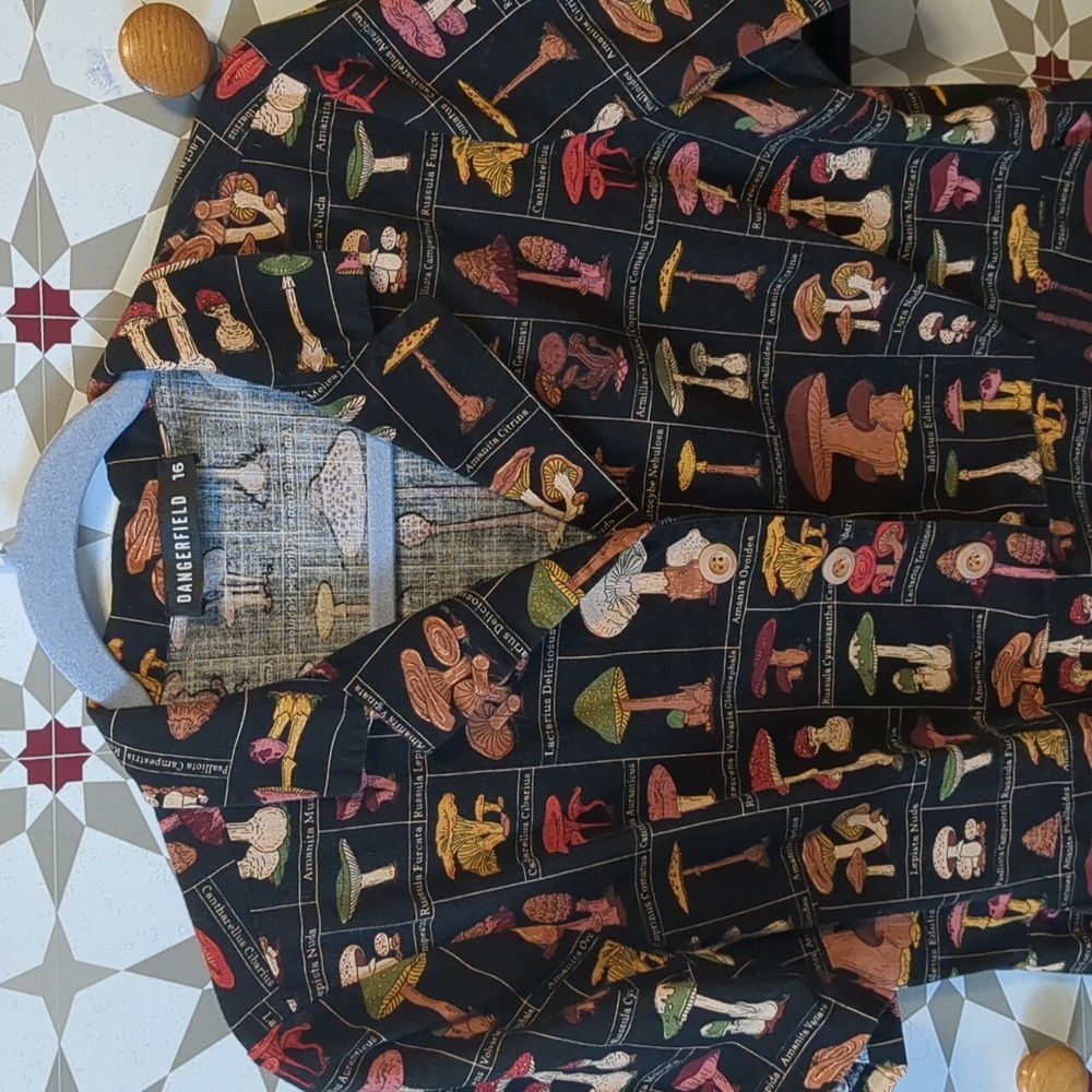 RARE Mushroom retro look dress with POCKETS ,Modcloth Dangerfield brand
